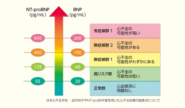 日本心不全学会：血中BNPやNT-proBNP値を用いた心不全診療の留意点について