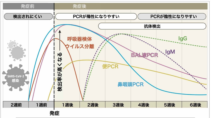 新型コロナウィルス