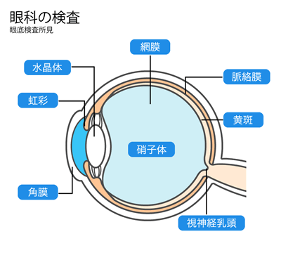 眼科の検査